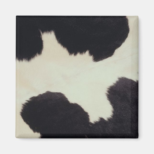 Aimant Vache cachée (Devant)