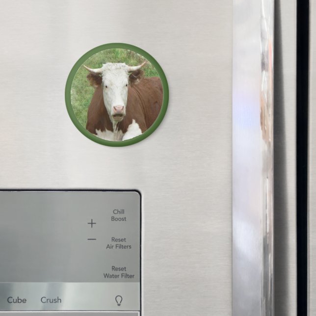 Aimant Vache dans l'aimant de caméo à l'herbe (In situ (réfrigérateur))
