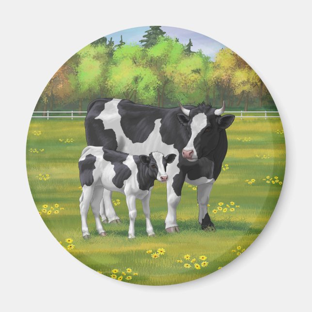 Aimant Vache Holstein et veau coudu dans le pâturage d'ét (Devant)