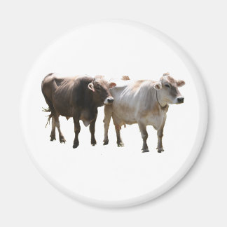 Aimant Vaches suisses Brown