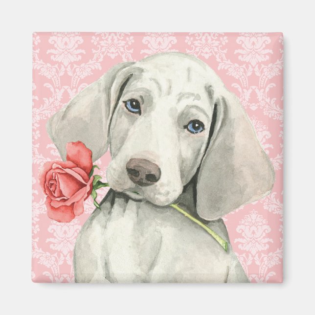 Aimant Valentine Rose Weimaraner (Devant)