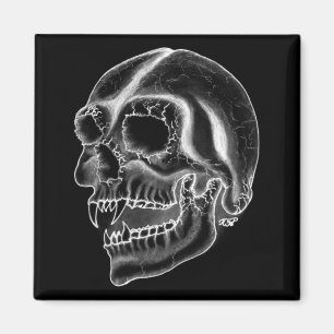 Aimant Vampir crâne noir et blanc
