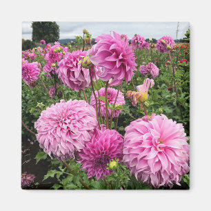 Aimant Vassio Meggos Dahlia