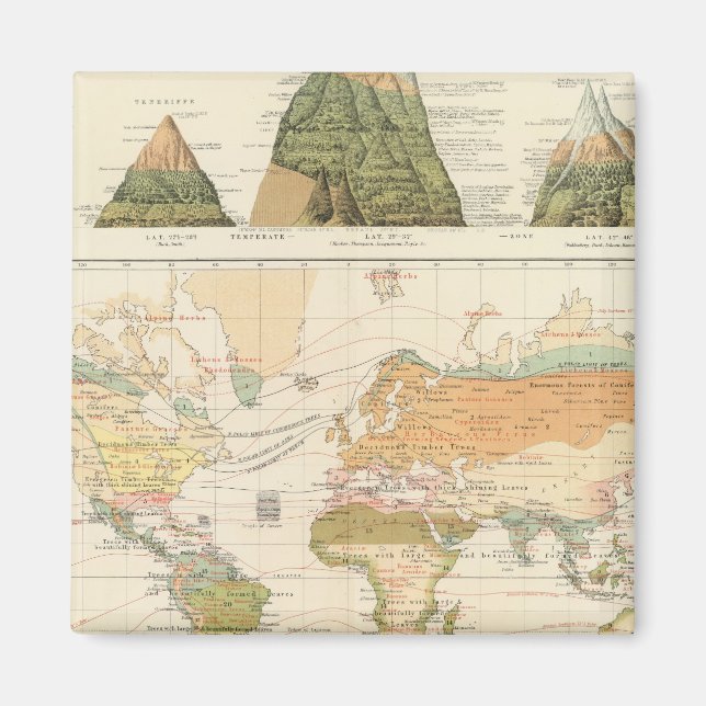 Aimant Végétation de distribution (Devant)