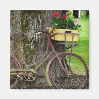 Vélo ancien ancien avec panier à fleurs