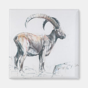 Aimant Venerando Stambecco 2006