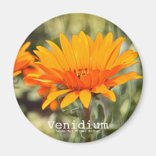 Aimant Vénium