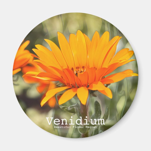 Aimant Vénium (Devant)