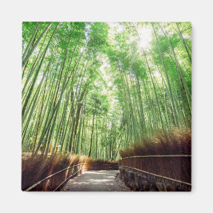 Aimant Verger en bambou   Arashiyama, Kyoto, Japon