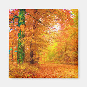 Aimant Vermont Autumn Nature Paysage