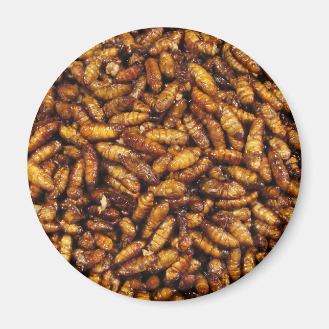 Aimant Vers de soie frits ... Thai Street Food (Devant)