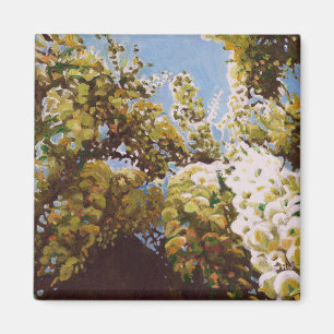 Aimant Vers le haut de dans les glycines 2011