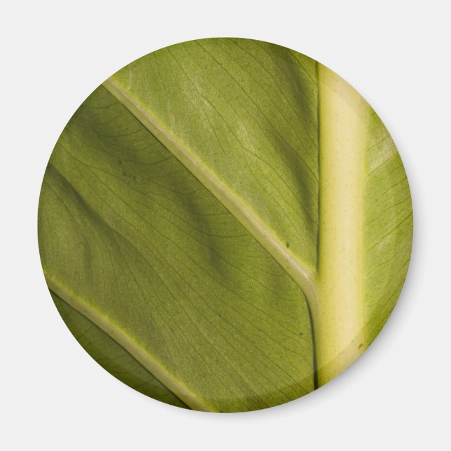 Aimant Vert 01 (Devant)