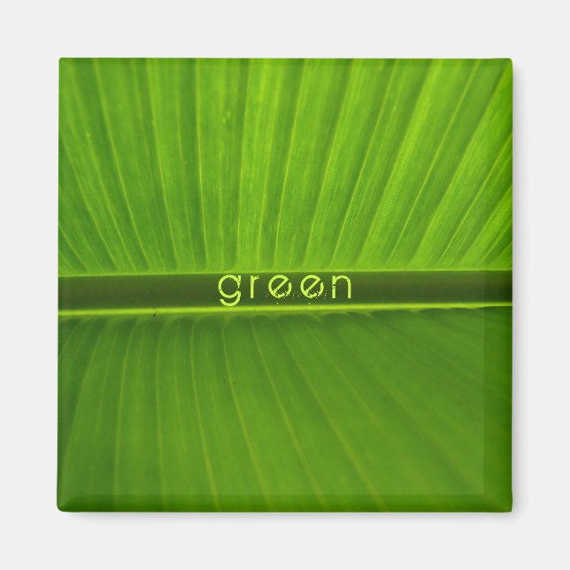Aimant vert apaisant (Devant)