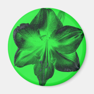 Aimant Vert foncé sur vert clair Amaryllis