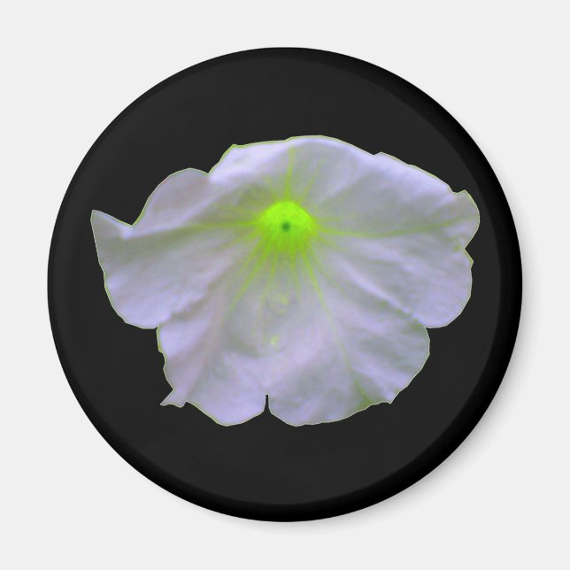 Aimant vert Petunia (Devant)
