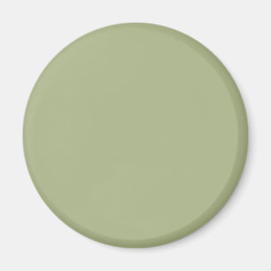 Aimant Vert sauge poussiéreux uni