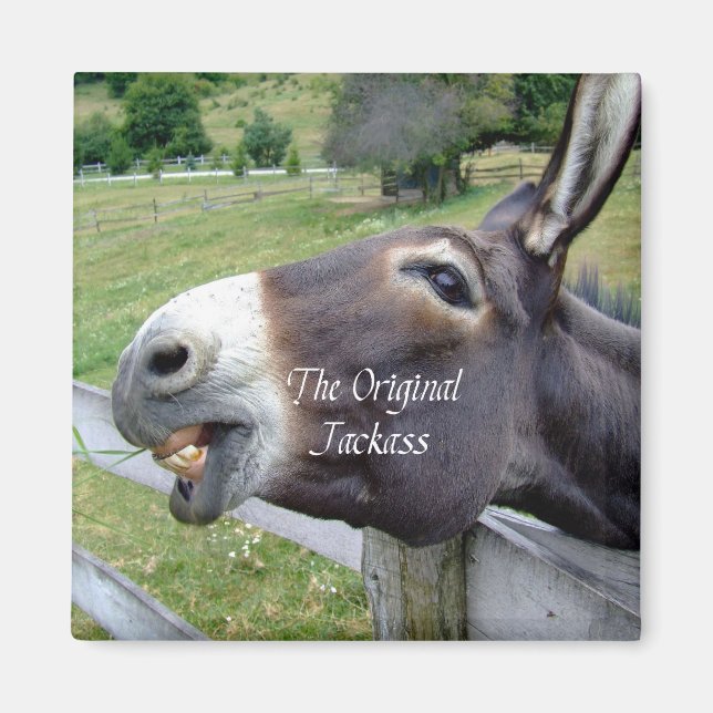 Aimant Veste originale drôle âne Mule animal de ferme (Devant)