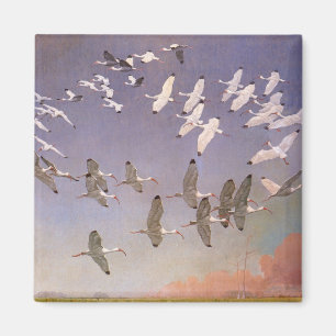 Aimant Vestige d'Ibis survolant les zones humides, les oi