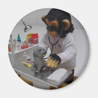 Aimant vétérinaire