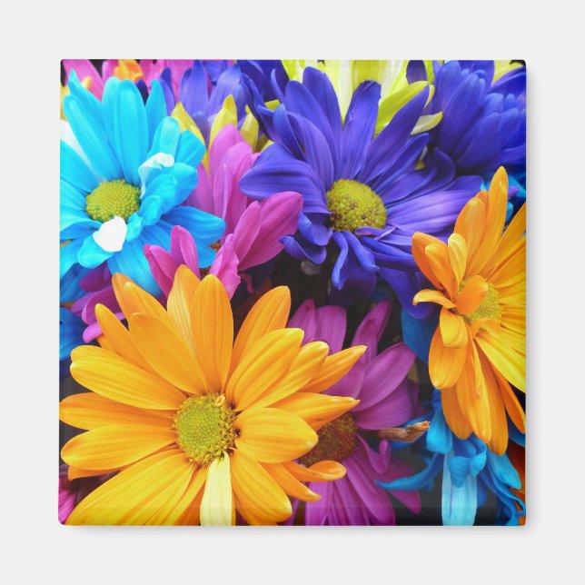 Aimant Vibrant Gerbera Daisy (Devant)