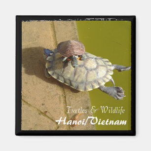 Aimant Vietnam, Hanoï, Tortues (aimant)