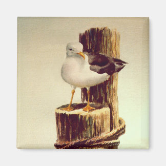 Aimant VIEUL HOMME SEAGULL par SHARON SHARPE