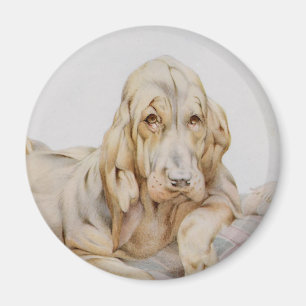 Aimant Vieux Limier Mignons, Chiots par EJ Detmold