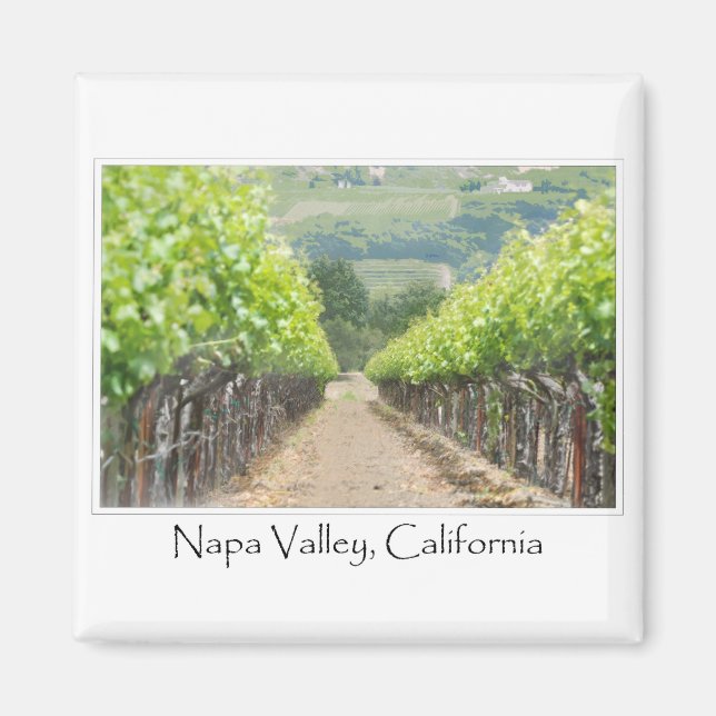 Aimant Vignoble de printemps à Napa Valley en Californie (Devant)