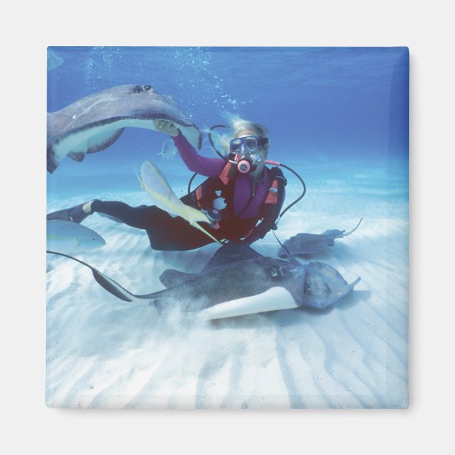 Aimant Ville de Stingray, Grand Cayman, îles Caïmans, (Devant)