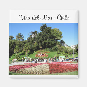 Aimant Viña del Mar - le Chili