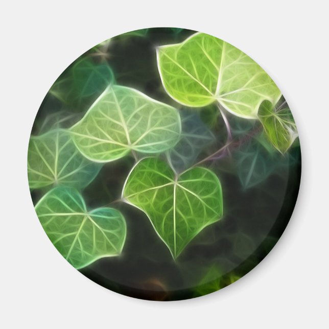 Aimant Vine d'Ivy 4 (Devant)