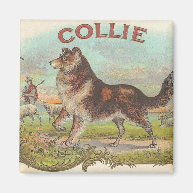 Aimant Vintage Collie (Devant)