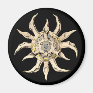 Aimant Vintage Haeckel
