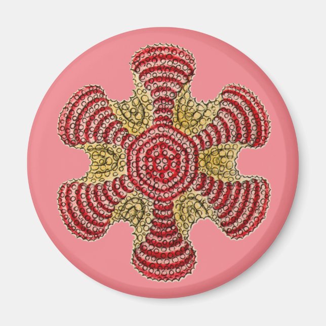 Aimant Vintage Haeckel (Devant)