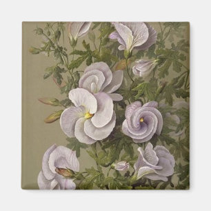 Aimant Vintage Lilac Hibiscus Purple Fleurs Florales