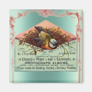 Aimant Vintage oiseau de nidification rose turquoise