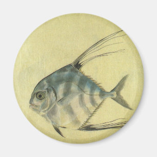 Aimant Vintage Threadfin Trevally, Pompano Africain Poiss
