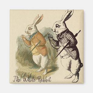 Aimant Vintage White Rabbit Illustration