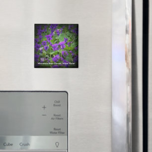 Aimant Violet de bois en vedette Fleur d'État Wisconsin