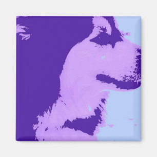 Aimant Violet Malamute