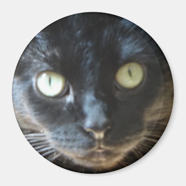 Aimant Visage de chat noir (Devant)