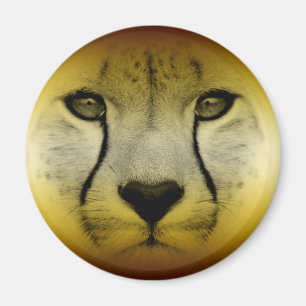 AIMANT VISAGE DE GUÉPARD