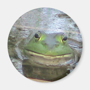 Aimant Visage de sourire de grenouille
