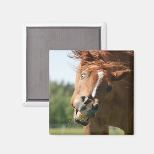 Aimant Visage drôle de cheval avec lèvres courbées, oeil
