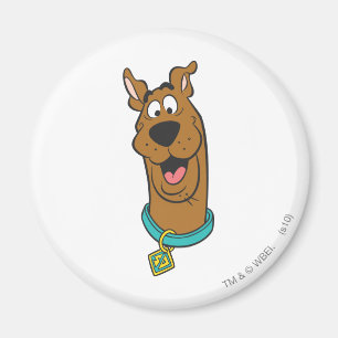 Aimant Visage souriant Scooby-Doo
