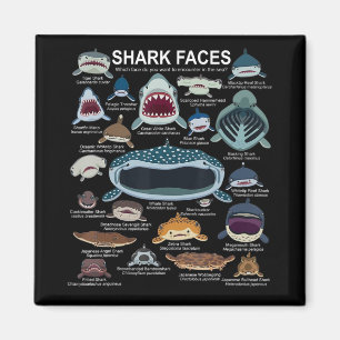 Aimant Visages de requins auxquels vous voulez participer