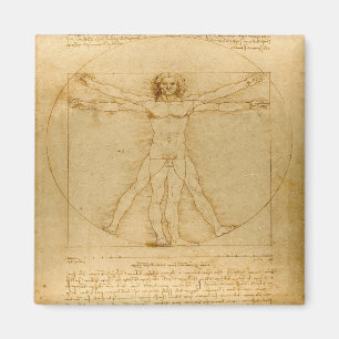 Aimant Vitruvian Man by Leonardo da Vinci