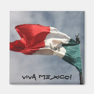 Aimant Viva Mexico !