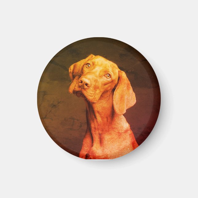 Aimant Vizsla (Devant)